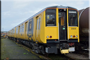 Yellow 313